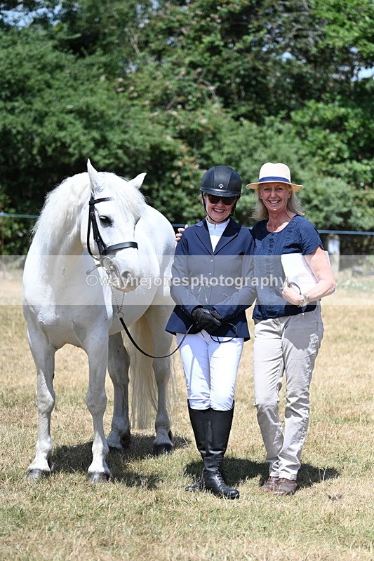 WJ7_2469 - Class 5a Most Handsome Gelding in hand (above 14.2hh)