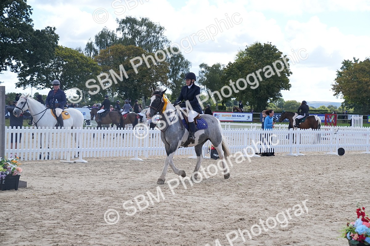 SBM_04165 - J34 Veteran 50cm Championship
