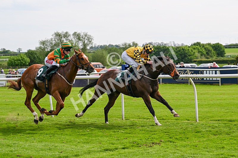 130524-Race 5-Sherdil-0602 - Race 5