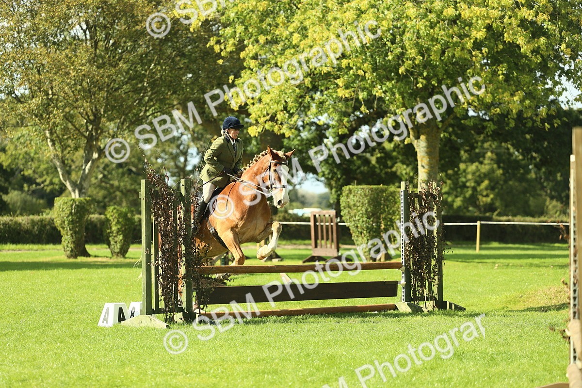 SBM_48113 - S32 - Novice & Newcomers Working Hunter