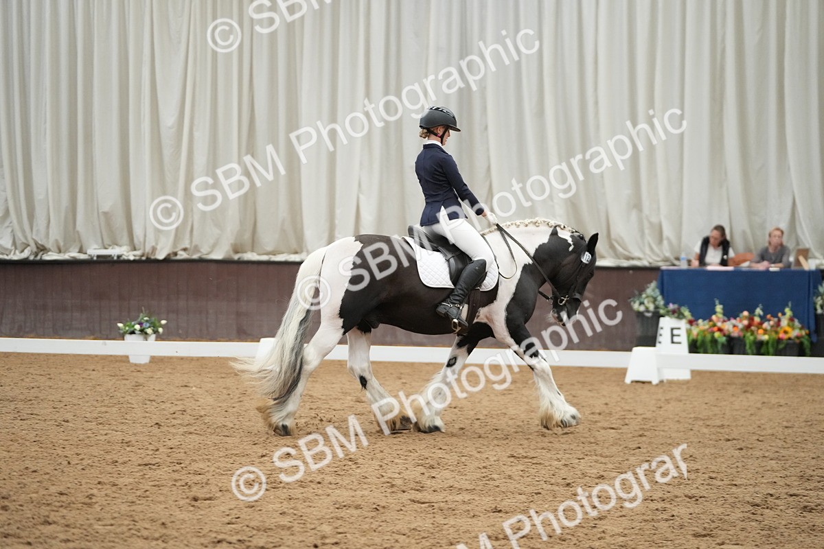 SBM_004386 - Class 11 - Elementary 2 Champs