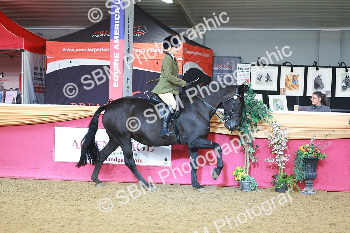 SBM_07626 - Class 101 - HOYS Veteran Qualifier - Ridden Diamond