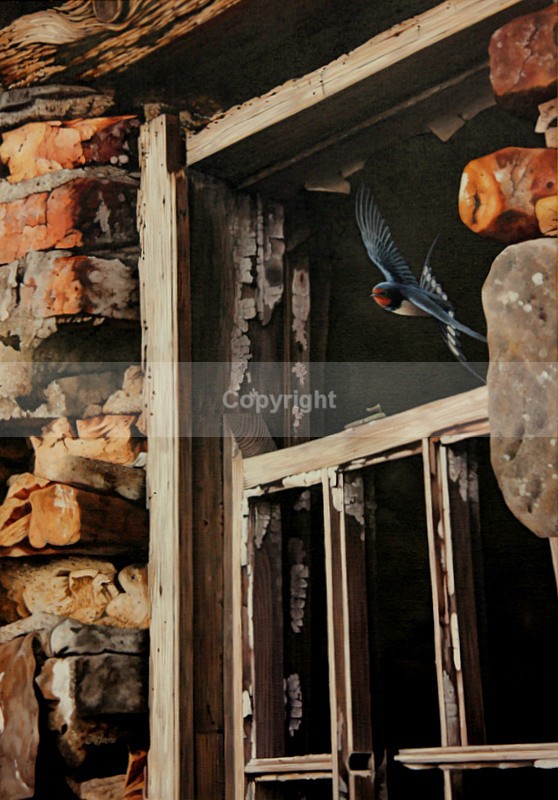 THE SUMMER RESIDENCE. SWALLOW. - Birds
