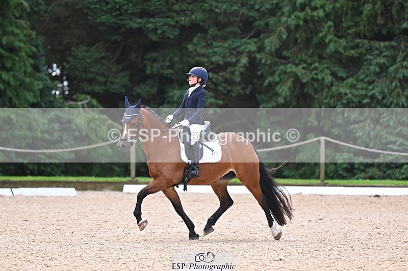 240809-120819-00673 - 211-Amelia.Dovey-Caederwen.Lady.Elinor