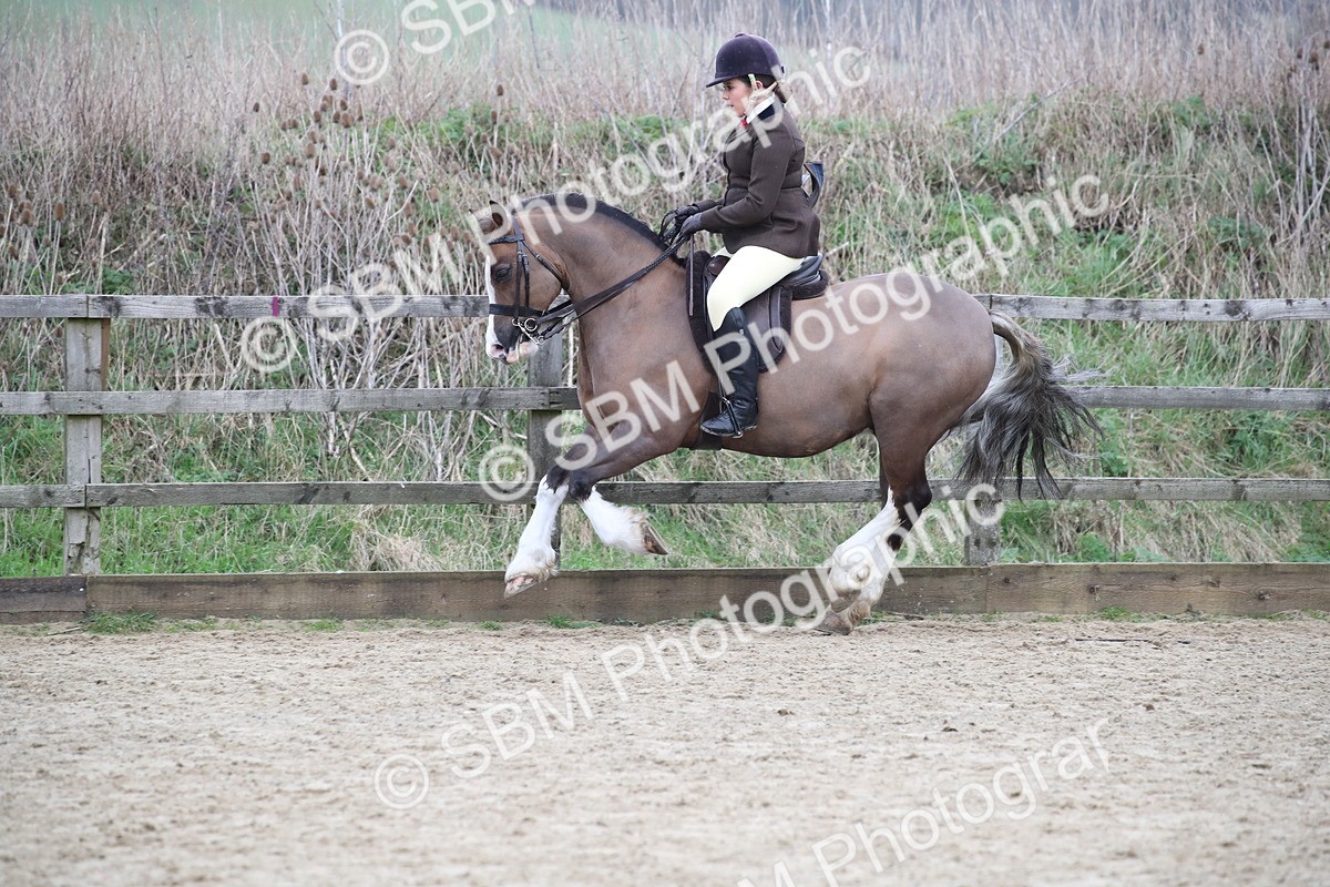 SBM_007238 - Class 10-13 - RIHS Small Large Breeds