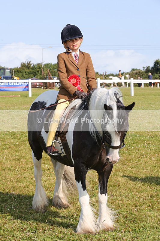 1X9A3408 - Class 28: Ridden Native/Trad Coloured Pony