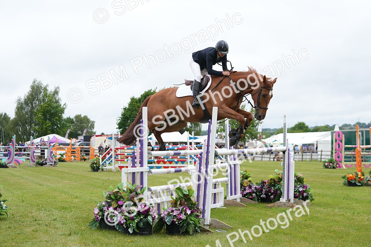 SBM_02992 - Class 201 - British Horse Feeds Speedi Beet Horse of the Year Show Grade  C