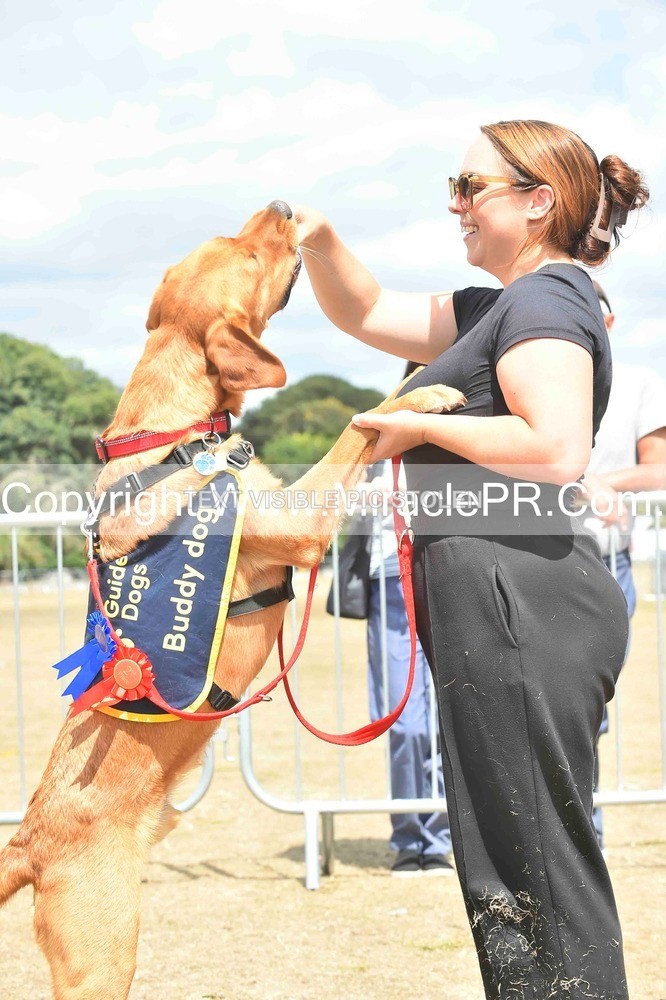 SH4_0255 - Dog show.