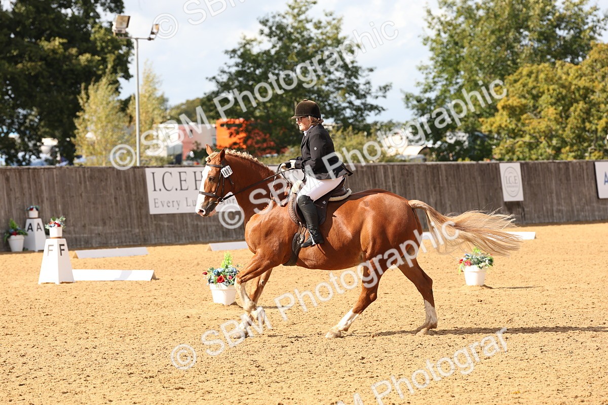 SBM_47545 - D12 - Small Tour Championship prelim 2