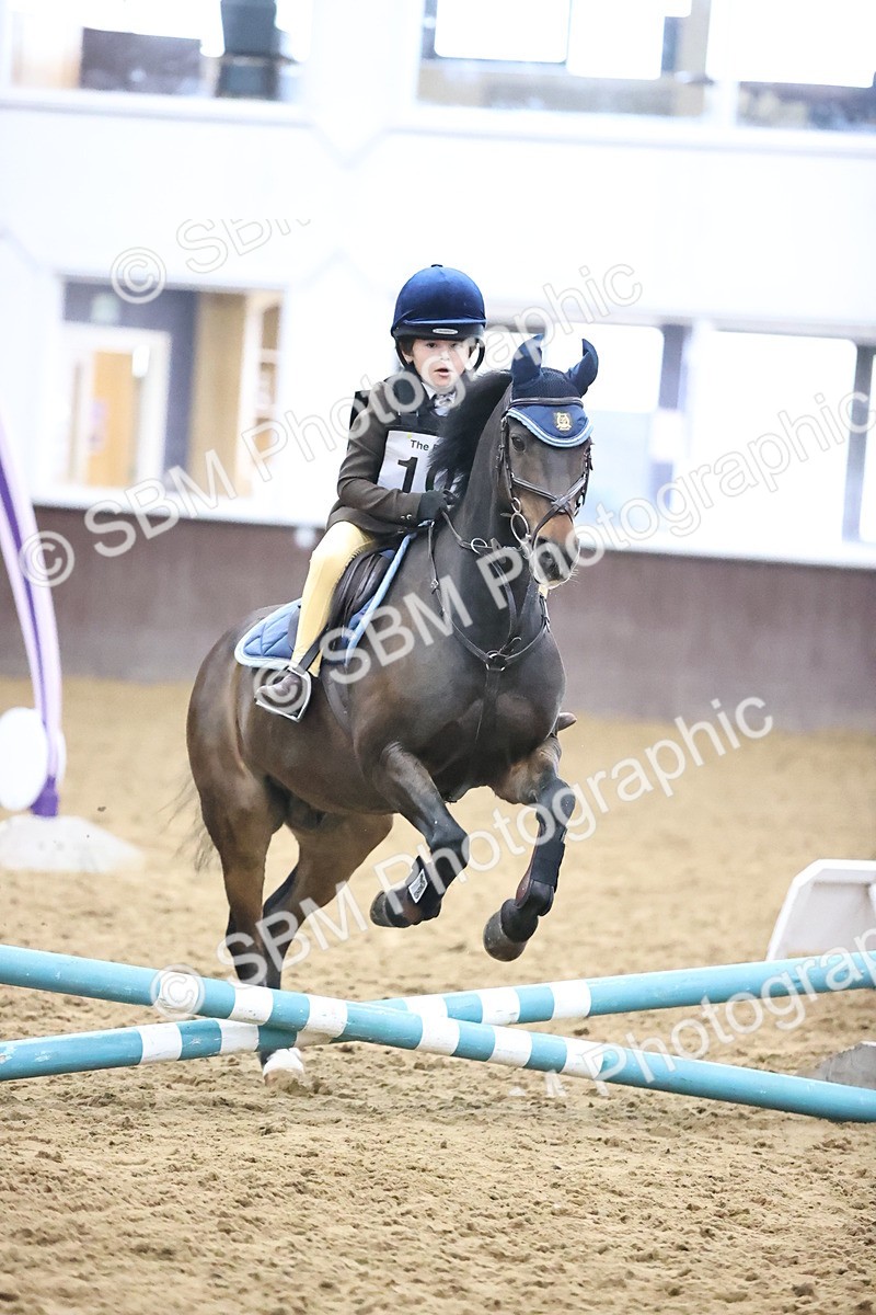 SBM_000089 - Class 2 - The Rug Lady 40cm Area 12 Championship Qualifier