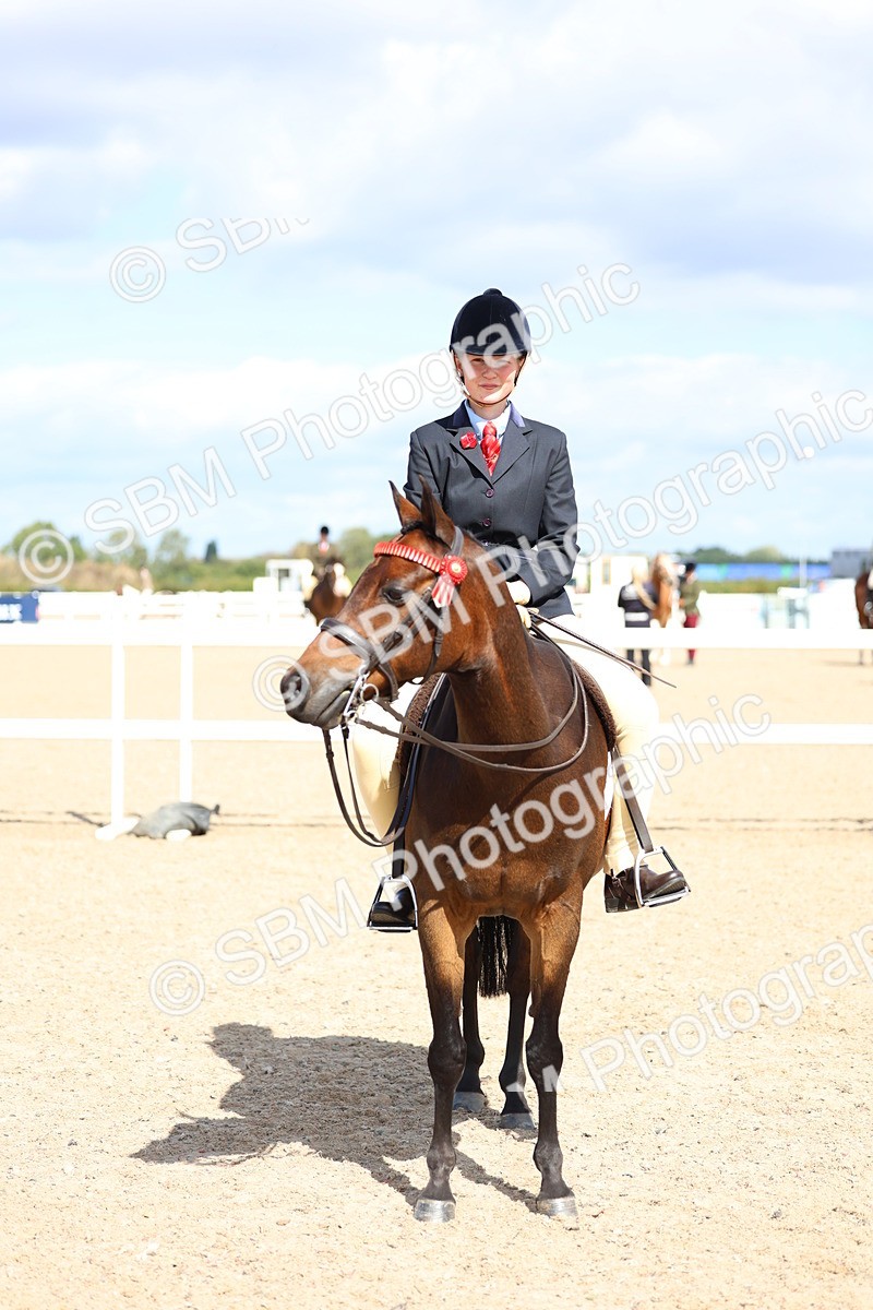 SBM_13318 - Class 311 - Ridden Show Pony Show Hunter Pony