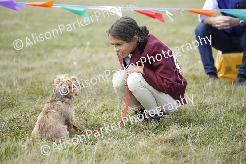 20250831-3613 - Dog Show