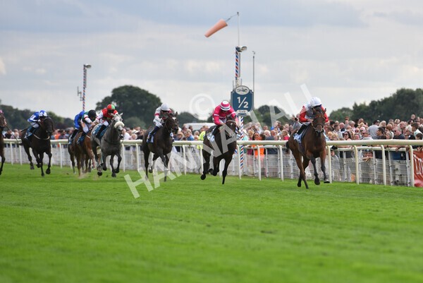 yr19082022r5-29 - Race 5 4.10pm Assured Data Protection EBF Fillies' Stakes