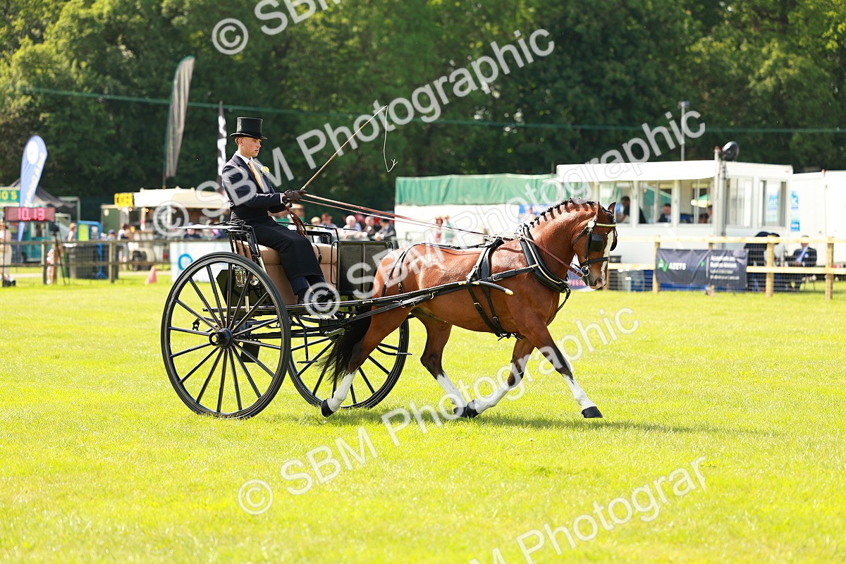 SBM_02697 - Class 2-4 - HOYS Private Driving