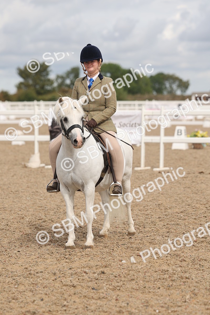 SBM_04535 - Class 19 - Horse/Pony Judge would most like to take home