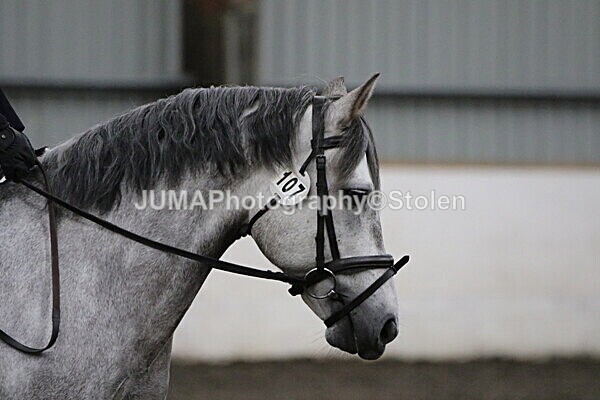 SIAL4059 - CAbin Dressage 5th july 2025