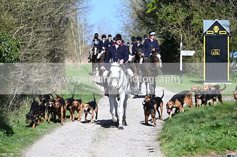 WJ7_9635 - Home for hunt tea !