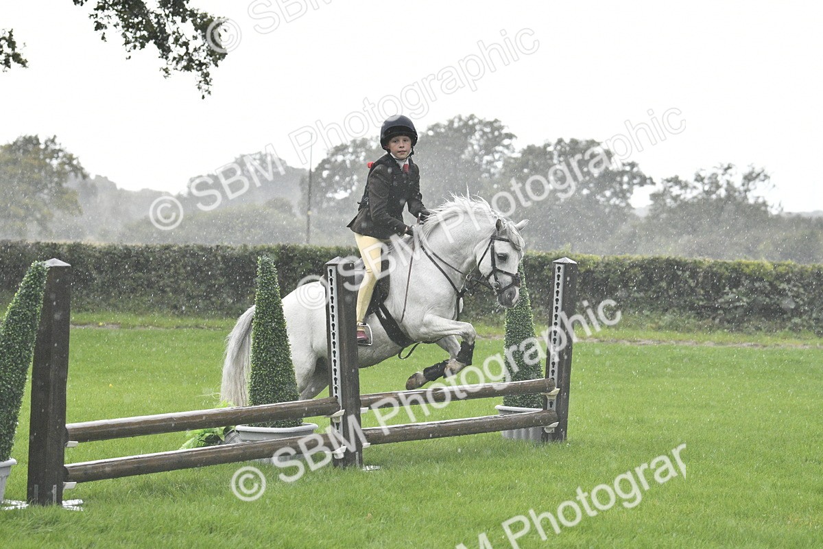 SBM_37124 - S31 - Novice & Newcomer Working Hunter Pony