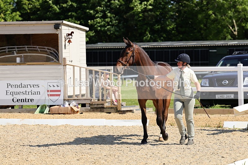 1X9A0779 - Class 4: Youngstock 1, 2, 3 year old to exceed 153cm