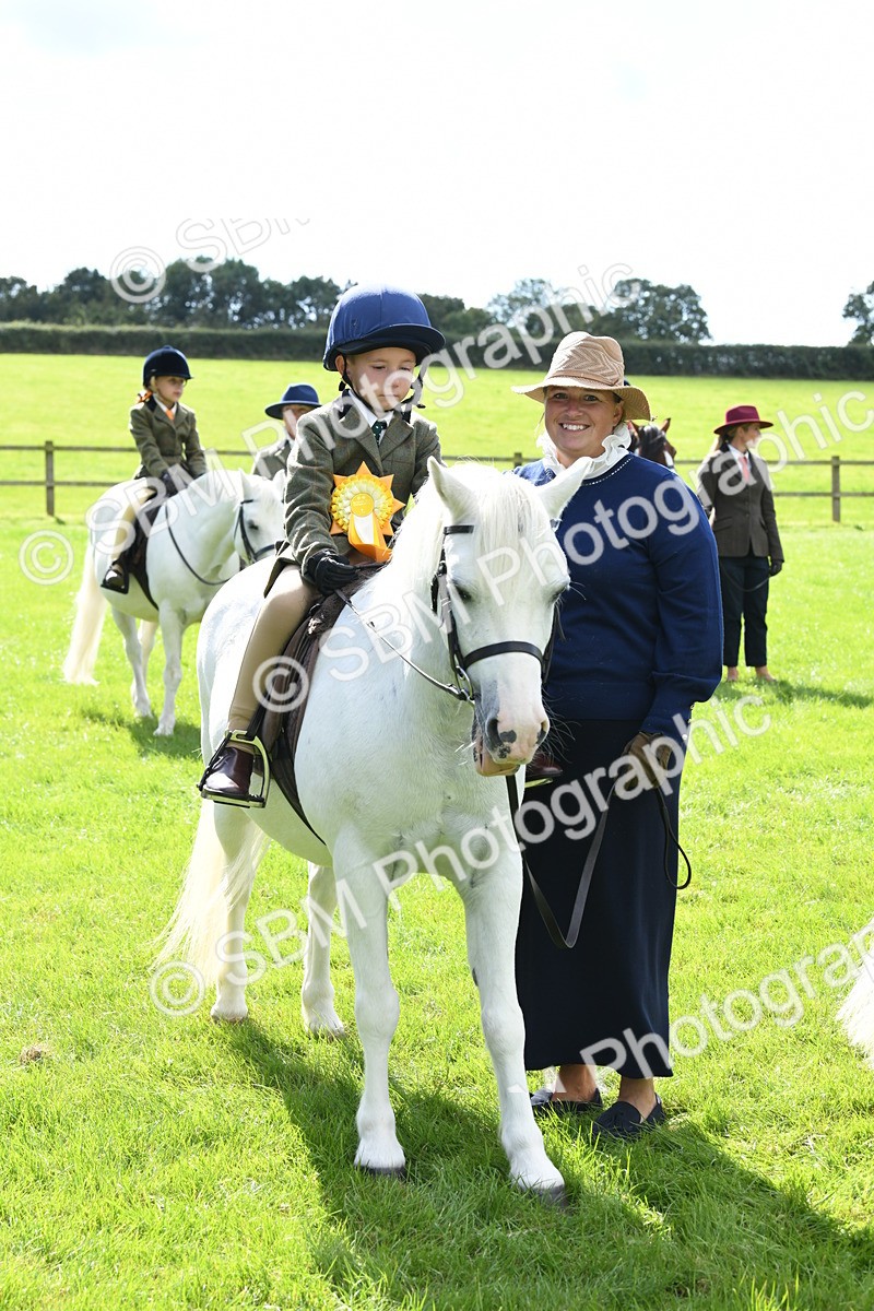 SBM_42664 - S20 - Lead Rein Mountain & Moorland Pony