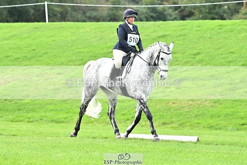 241024-115200-02509 - 510-Kathryn.Virjee-BROWNSTOWNS.SEAWATCH