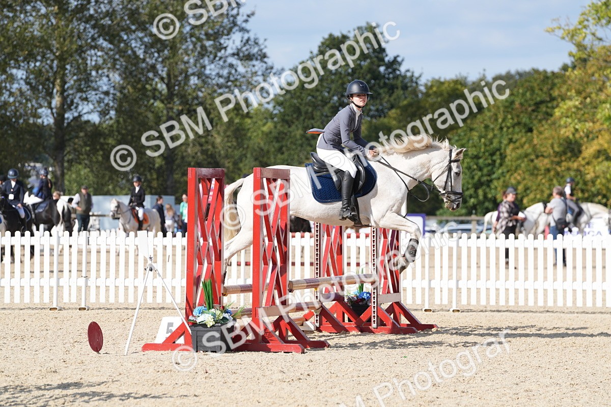SBM_48656 - J22 - Junior Horse 65cm Championship