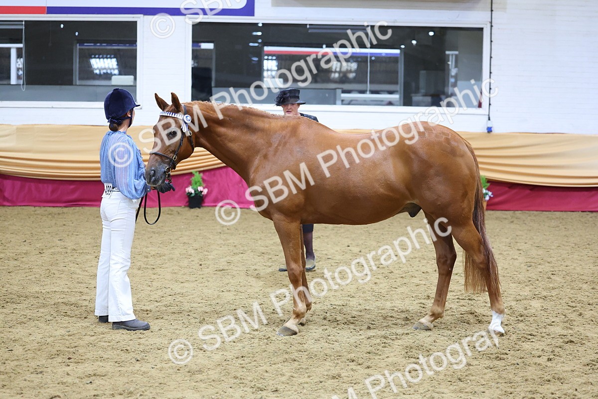 SBM_21045 - Class 902 - Supreme Final IH Veteran