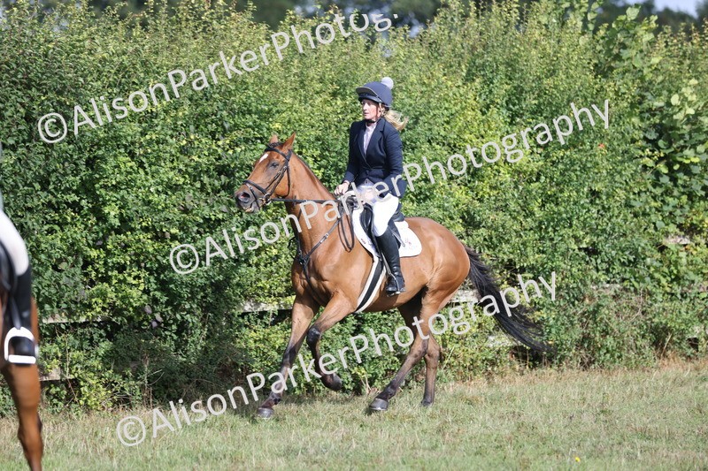 20250831-0878 - Class 14 - Ex Racehorse