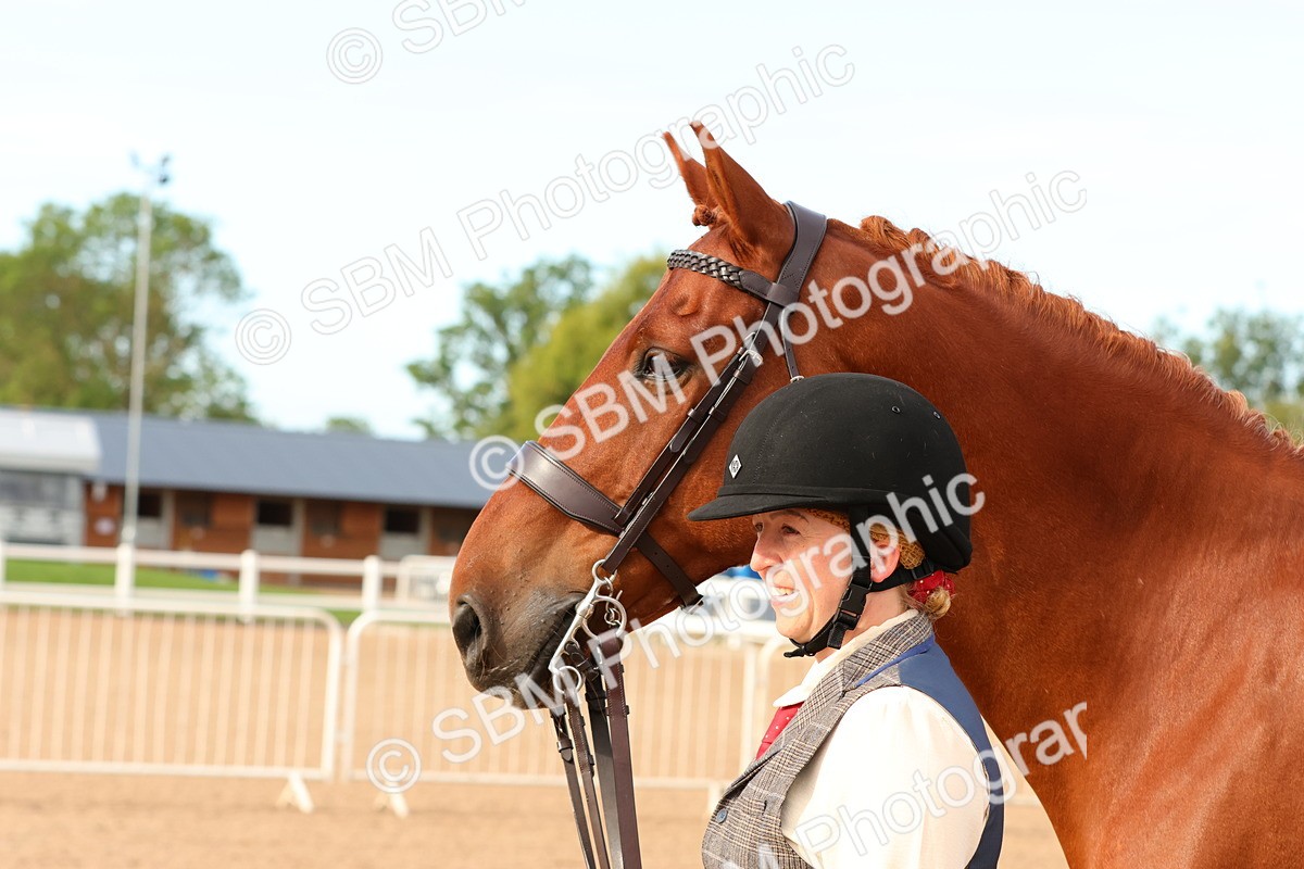 SBM_16601 - Class 702 - IH Show Horse - Pony