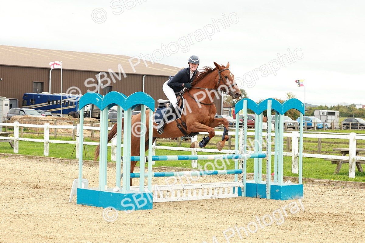 1I0A6964 - Class 2 - Senior British Novice
