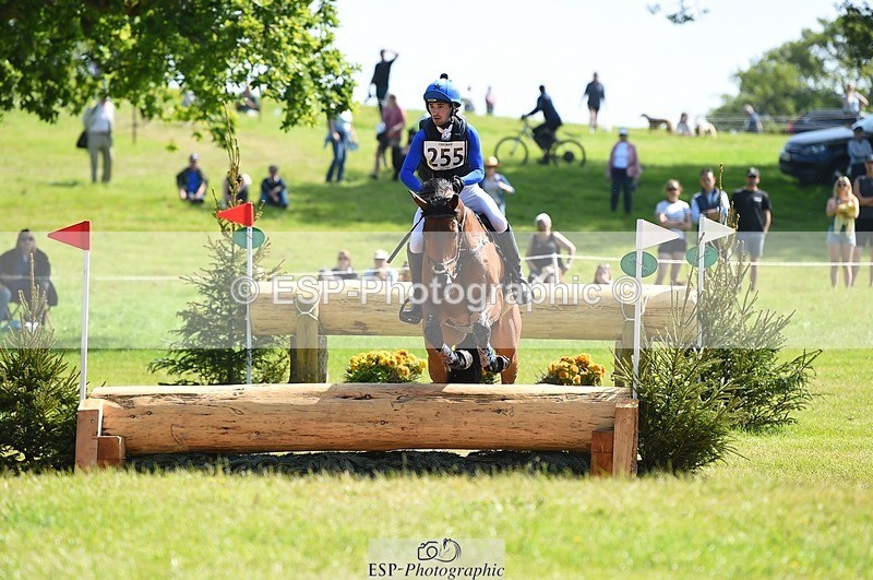 230527-102540-08547 - 255-HI_MR_HENRY-Henry_Hobby-XC