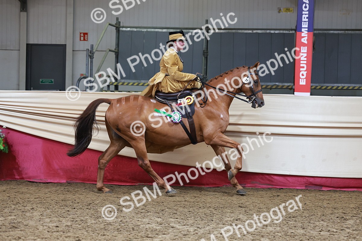 SBM_13654 - Class 105 - Ridden Costume - Side Saddle
