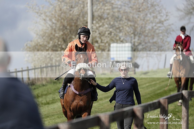 PtP 080423 342 - Dingley Races The Woodland Pytchley Hunt PtP 08/04/23