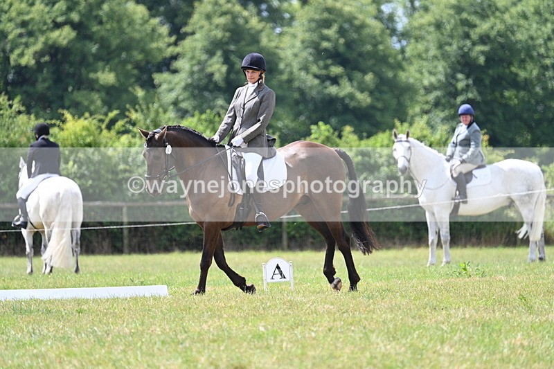 WJ7_4844 - Time 11:22 to 11:51