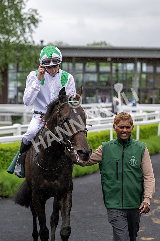 230524-Race 3-See The Green-1629 - Race 3