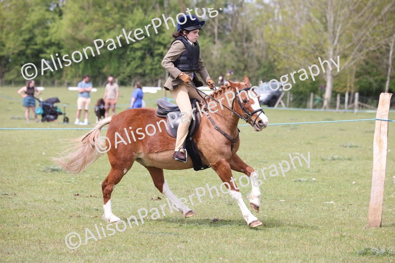 20260426-2966 - Class 33 - Best Pony 14.2hh and Under