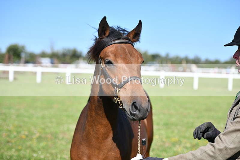 DSC_5895 - Class 50: NPS M&M Yearling