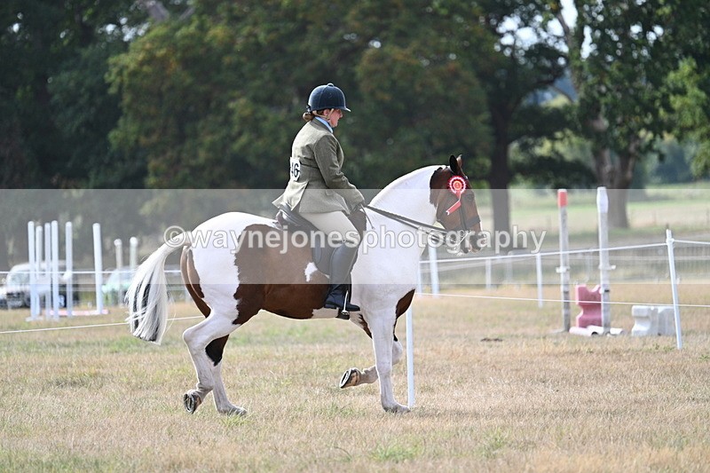 WJ7_7709 - Ridden Championship