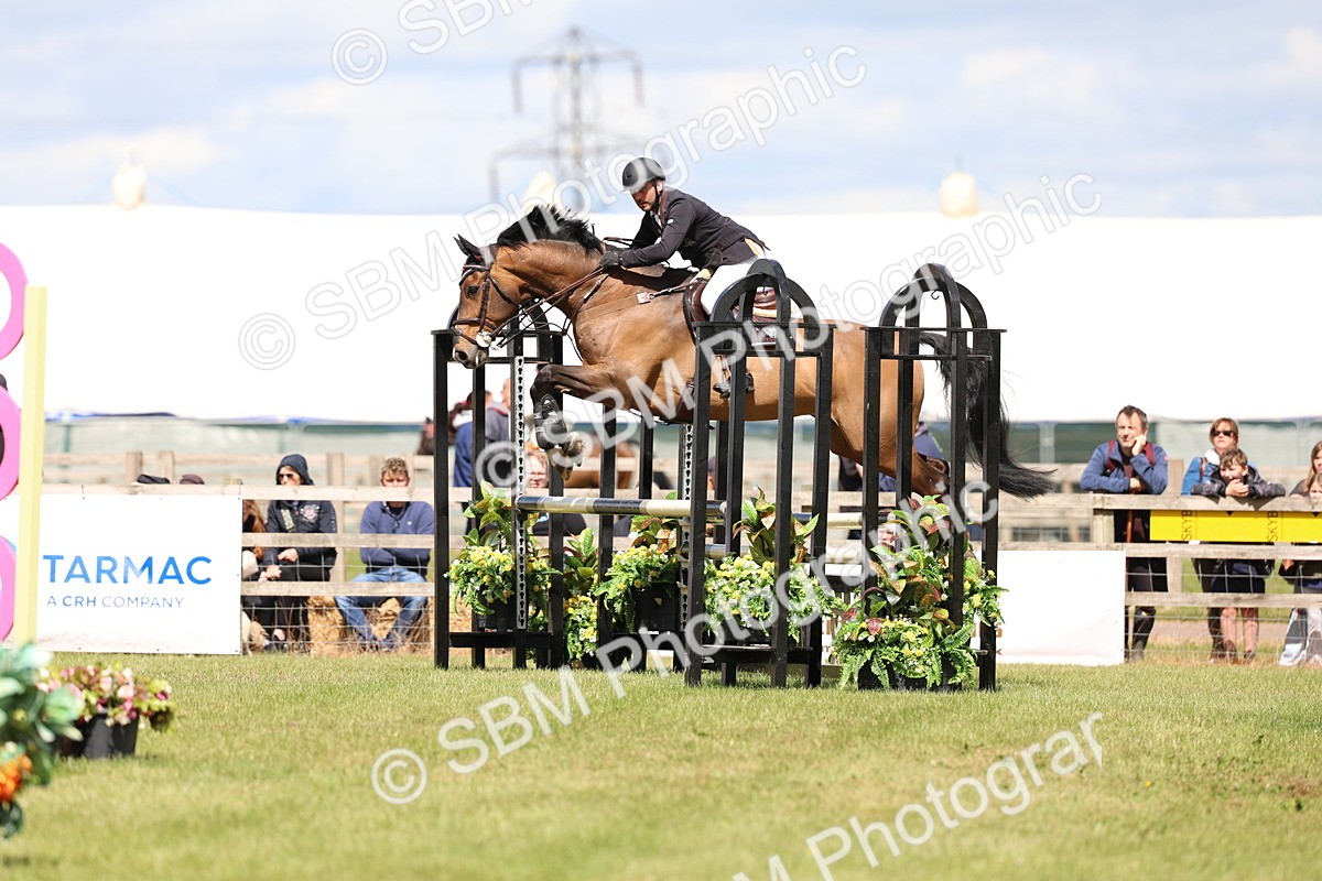 SBM_13808 - Class 206 - Senior Newcomers - 1.10m Open