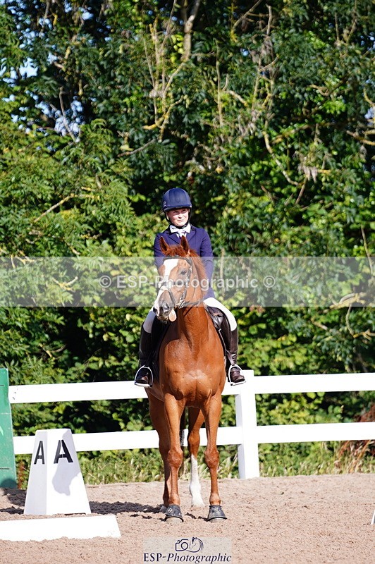 240809A-090124-00124 - Dressage Competition