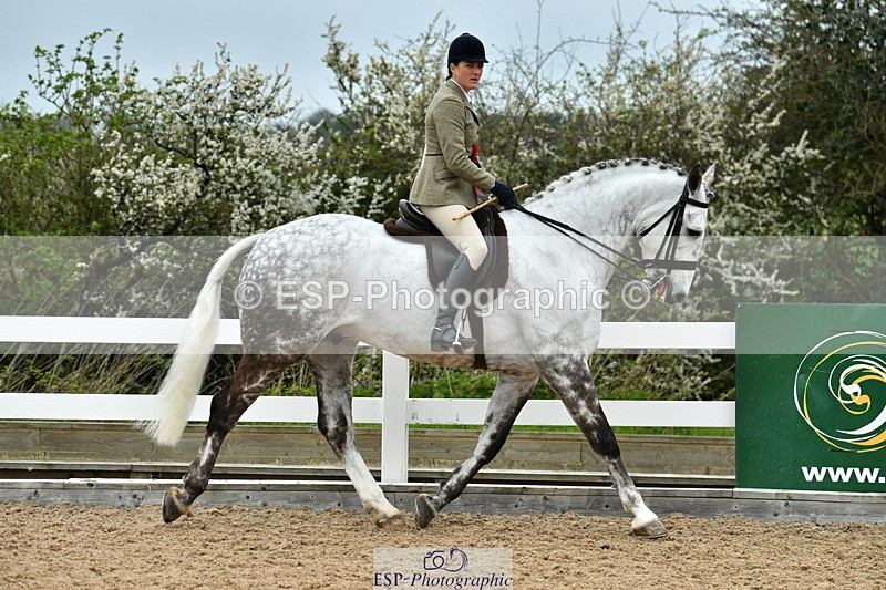 230416A-153105-05399 - Ridden Championships