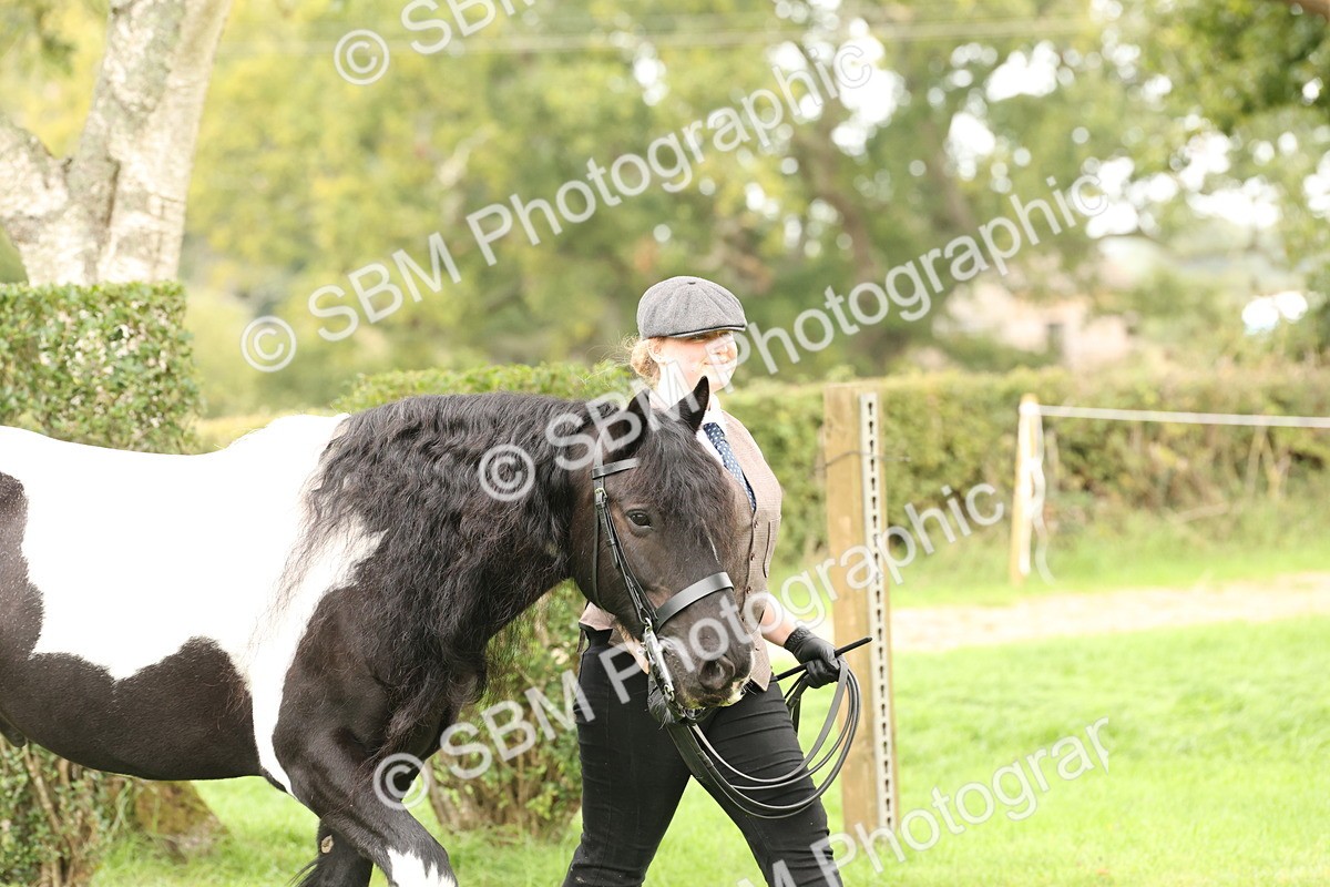SBM_59209 - S57 - Traditional Cob In Hand