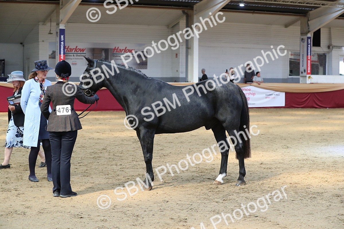 SBM_04420 - Class 7R Regional - IH Diamond