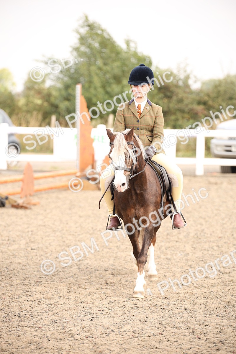 SBM_11700 - Class 404b Junior Working Veteran- 40cm(20+)