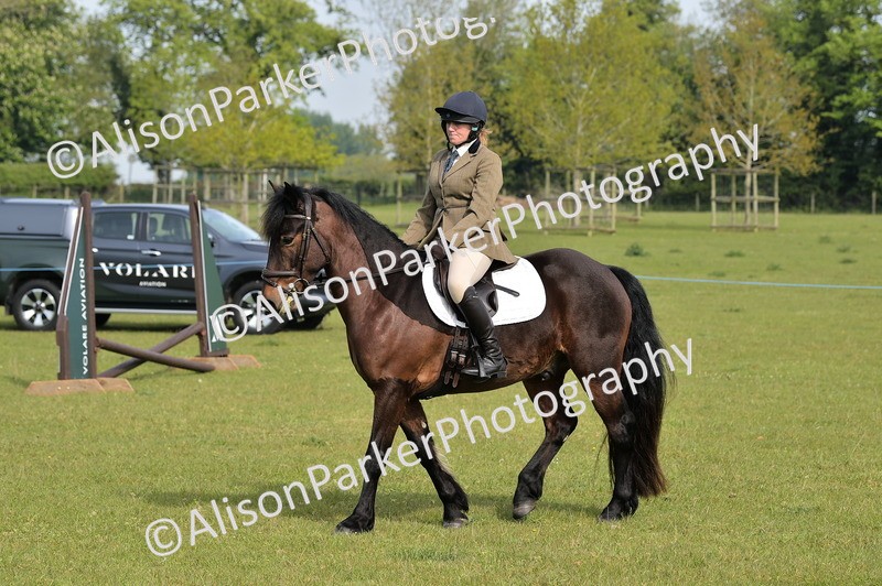 20260426-0911 - Class 18 - Novice Showing