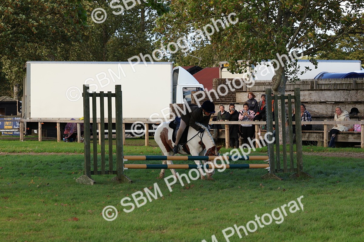 SBM_52568 - S13 - Pony Club Pony