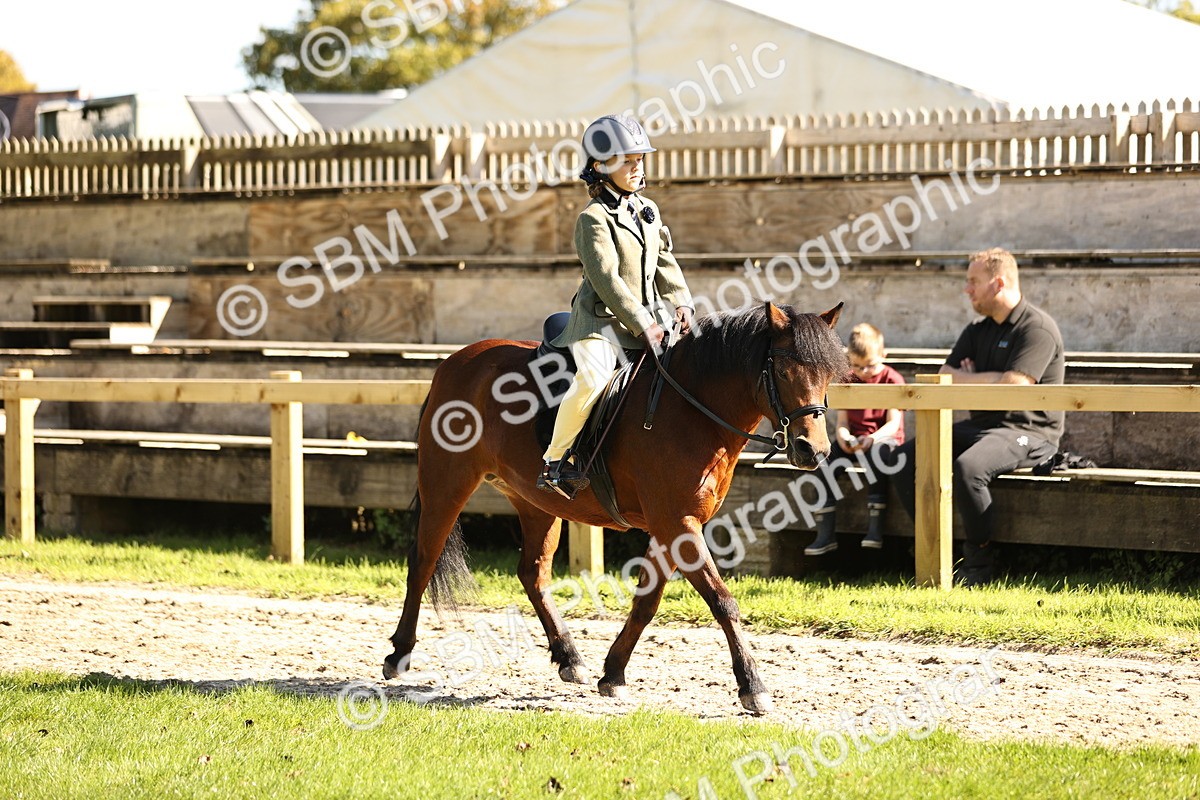 SBM_19255 - S3 - TSR Ridden Pony Showing