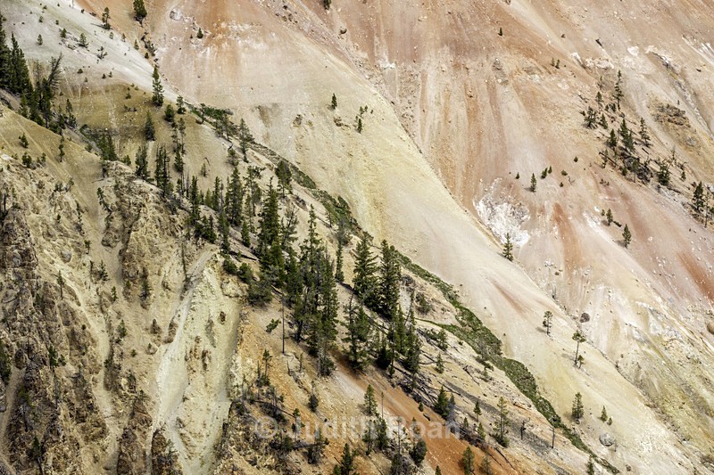 Yellowstone River Hillside - Yellowstone