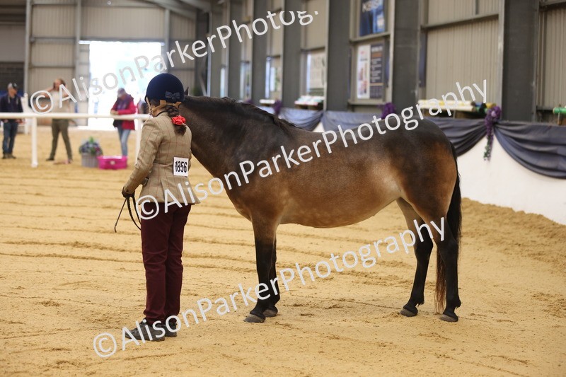 20260913-0082 - Class 121 - Young Handler 5-16