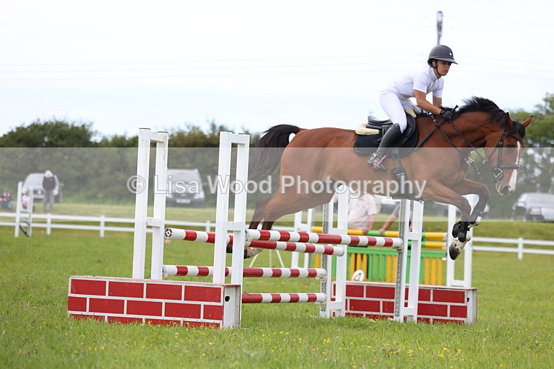3E7A1786 - Class 13: Senior British Novice/90cm open